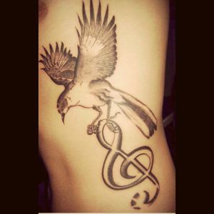 #dreamtattooThis but with an anchor in its clutches. The mockingbird for my grandparents that have passed and the anchor for my uncle who served in Vietnam as a SEAL.