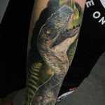 Would love a sleeve with a raptor. #dreamtattoo