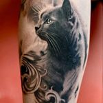 I would like to get something like this. My sister recently passed away and I would like to dedicate one to her... #dreamtattoo #cat