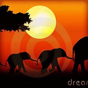 Would love something like this across my chest #africansunset #elephants #dreamtattoo