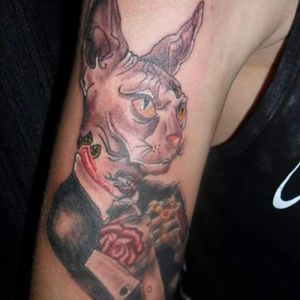 Tattoo feita por mim colorida lehal de fazer gato egipicio #galeriadoreggae