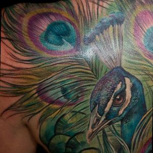 That's the kind of tattoo I would get if I have the chance to win the #Tattoodo contest . I love #peacock so much, and damn.. Colors are amazing ! #dreamtattoo #miamiink #amijames  #contest #animal #colorful