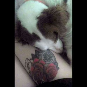 Câlin du matin #love#tattoo#tatouage#rose#beauty#boussole#compass#anchor#ancre#ancremarine#roses#dog#dogs 🐶🌹⚓