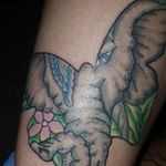 Original tattoo designs by 512 Naranjo Ink it a butterfly elephant