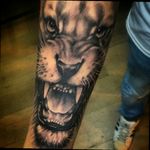 #tattoo #lion  #blackandwhiteink
