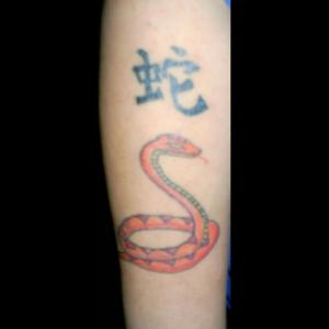 My fourth tat to symbolize my Chinese Zodiac sign of Snake.
