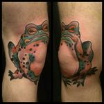 #frog #toad #bufoalvarius #coloradorivertoad