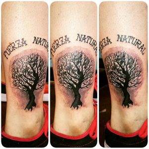 #tattoo #tree  #fuerzanatural