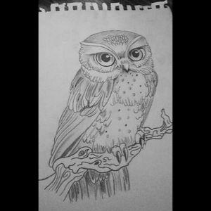 A friend of mine asked me to draw a owl for her ribcage and this is the end result