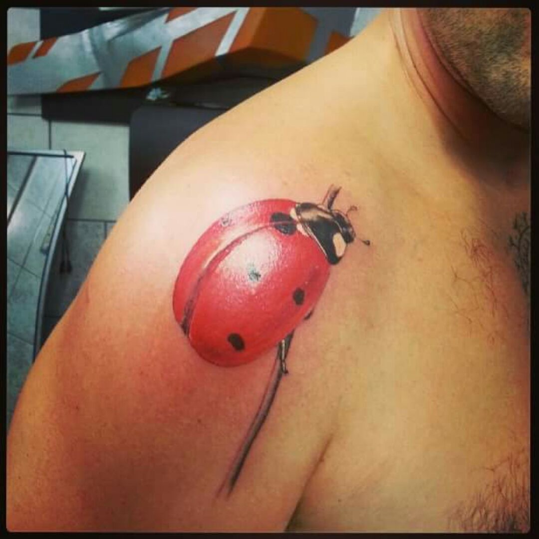 Ladybug by Andrea Tartari TattooNOW