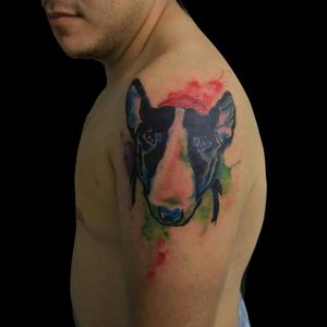 Bull terrier ingles watercolor #tattoo #watercolor #bullterrier #parisescudero #followme #myart #watercolortattoo #cool #awesome #nicework