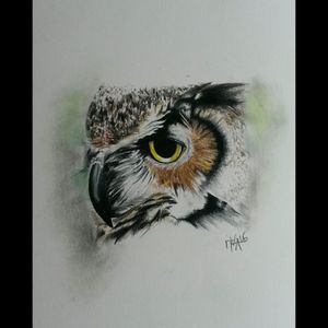 Realistic owl drawing I did a few months ago!