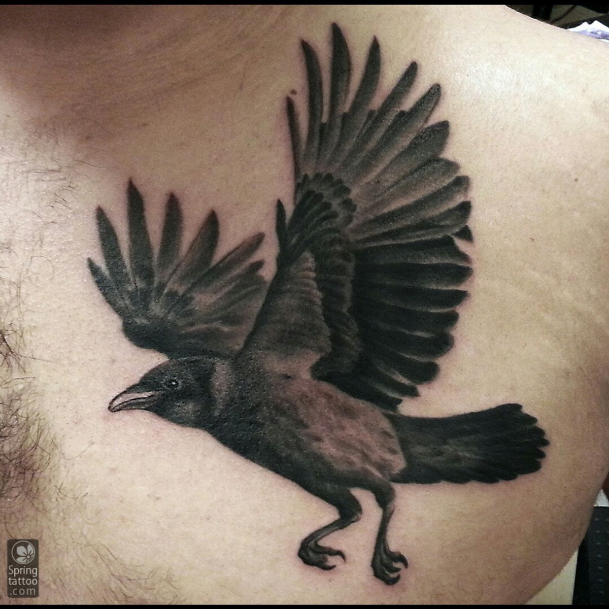 Tattoo uploaded by Aviv Rotshas • #black #crow #blackandgrey • Tattoodo