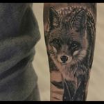Norwegian fox. #animal #animalta #fox #blackAndWhite #blackandgrey #realistic #photorealistic #photorealism #oslo #norway