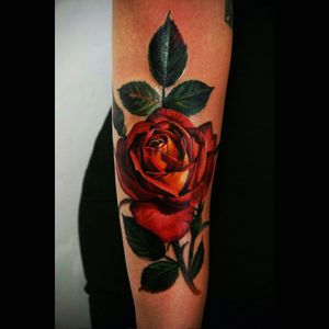 Colour realistic rose & lead tattoo#dreamtattoo #mydreamtattoo