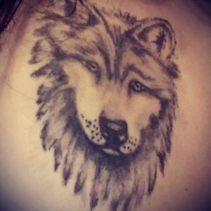 Currently my only tattoo. I chose a wolf because of its strength and proof that an you are strong on your own but even stronger with your pack. Done by Spirit Art 2 in Watertown NY. I can't wait to get more beautiful work :)