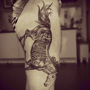 Black & grey running horse anatomy tattoo#dreamtattoo #mydreamtattoo