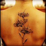Black & grey large daisies, flower tattoo #dreamtattoo #mydreamtattoo