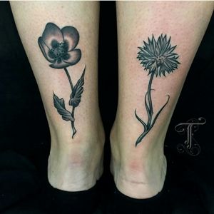 Poppy and corn flower by Taioba For info or bookings pls contact us at art@royaltattoo.com or call us at + 45 49202770#royal #royaltattoo #royaltattoodk #royalink #royaltattoodenmark #blackandgreytattoo #blackandgrey #flower #poppy #cornflower