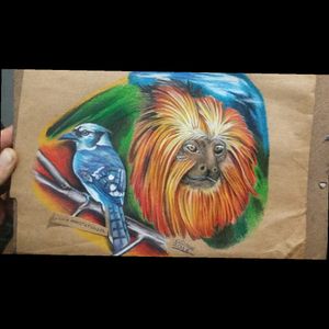 Drawing Luizinho Tatuador 👊#luizinhotatuador #drawn #paint #colorpencil  #mature #natureza #animal #monkey  #pencildrawing  #pencilcolor  #tatuadoresbrasil