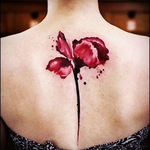 Awesome red watercolour flower & stem tattoo#dreamtattoo #mydreamtattoo