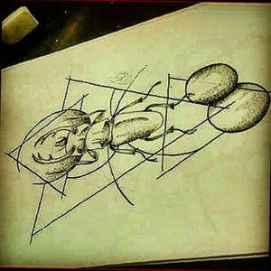 #draw #drawing #bug #beetle #linework #dotwork #geometric #geometry #pontilhismo