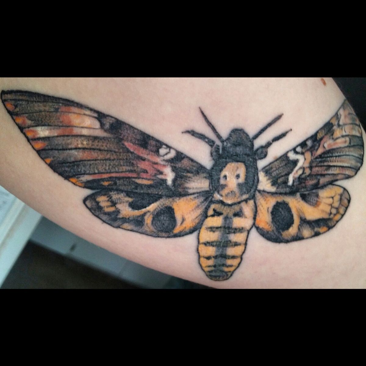 Tattoo uploaded by Stephanie • My death's head moth by Henrik at Dark