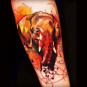 #elephant #firecolours #lines Animals are wonderful