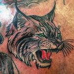 Bobcat tattoo #bobcattattoo #robbygalvantattoo #thetattooshopcarlsbadnm #animaltattoo