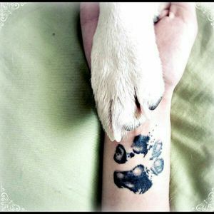 #dreamtattoo My dream tattoo is my dog, Tinkerbell's, paw print, in about the same place it is in the picture. Except my her paw is smaller. I've had her since I was around 5 years old and now I'm 17. I'll be 18 very soon so I can get it then.