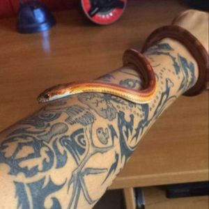 Just for fun... It's Stark, his lovely snake  :) #snake #Farcry #tattoo #Mariestel