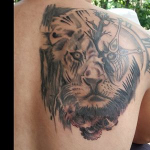 Lion tattoo #paibengtattoo #tattooartist #tattoo
