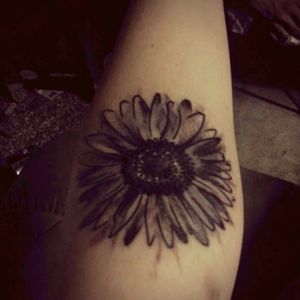 #sunflowertattoo #sunflower #elbowtattoo #Elbow #blackgrey #blackAndWhite #blackandgrey #sketchtattoo #girlswithtattoos