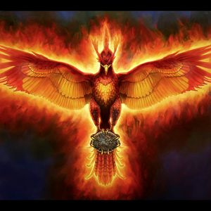 Ideas for my #dreamtattoo (the phoenix of rebirth)