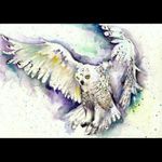Dream tattoo 😍😍 #dreamtattoo #owls #watercolor