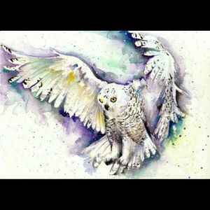 Dream tattoo 😍😍#dreamtattoo #owls #watercolor