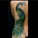 I'm obsessed with peacocks! #dreamtattoo I would love this tattoo on my left arm! #notmyink
