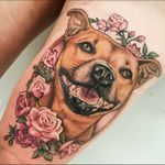 Awesome colour realistic dog portrait with pink roses tattoo #dreamtattoo #mydreamtattoo