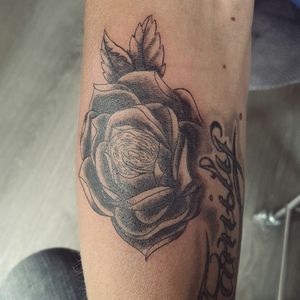 Sorry for the bad light. But here's a rose with fingerprint tattoo