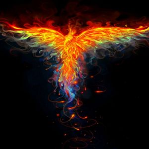 #dreamtattoo something like that on my back !!! A phoenix with a decor ...