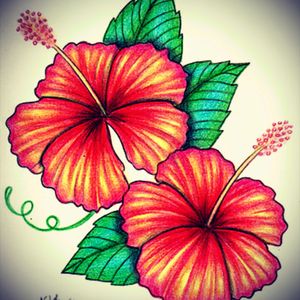 Really wanting to start a tropical/nautical sleeve. This is my favorite flower and I think it would be perfect to get it started. :)
