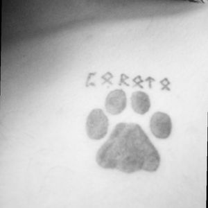 In memory of Poroto, my cat #pawprint #cat #rip