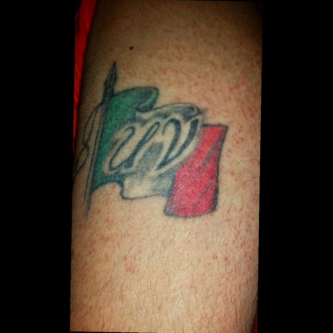 49ers tattoos  Animal sleeve tattoo 49ers Tattoos