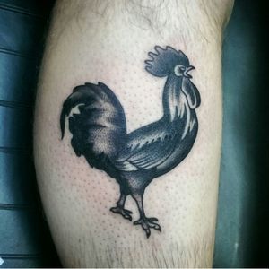 Check out my cock its pretty nice #blacktraditional #rooster
