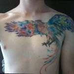 My Phoenix tattoo healed #watercolor #tattoo #Phoenix