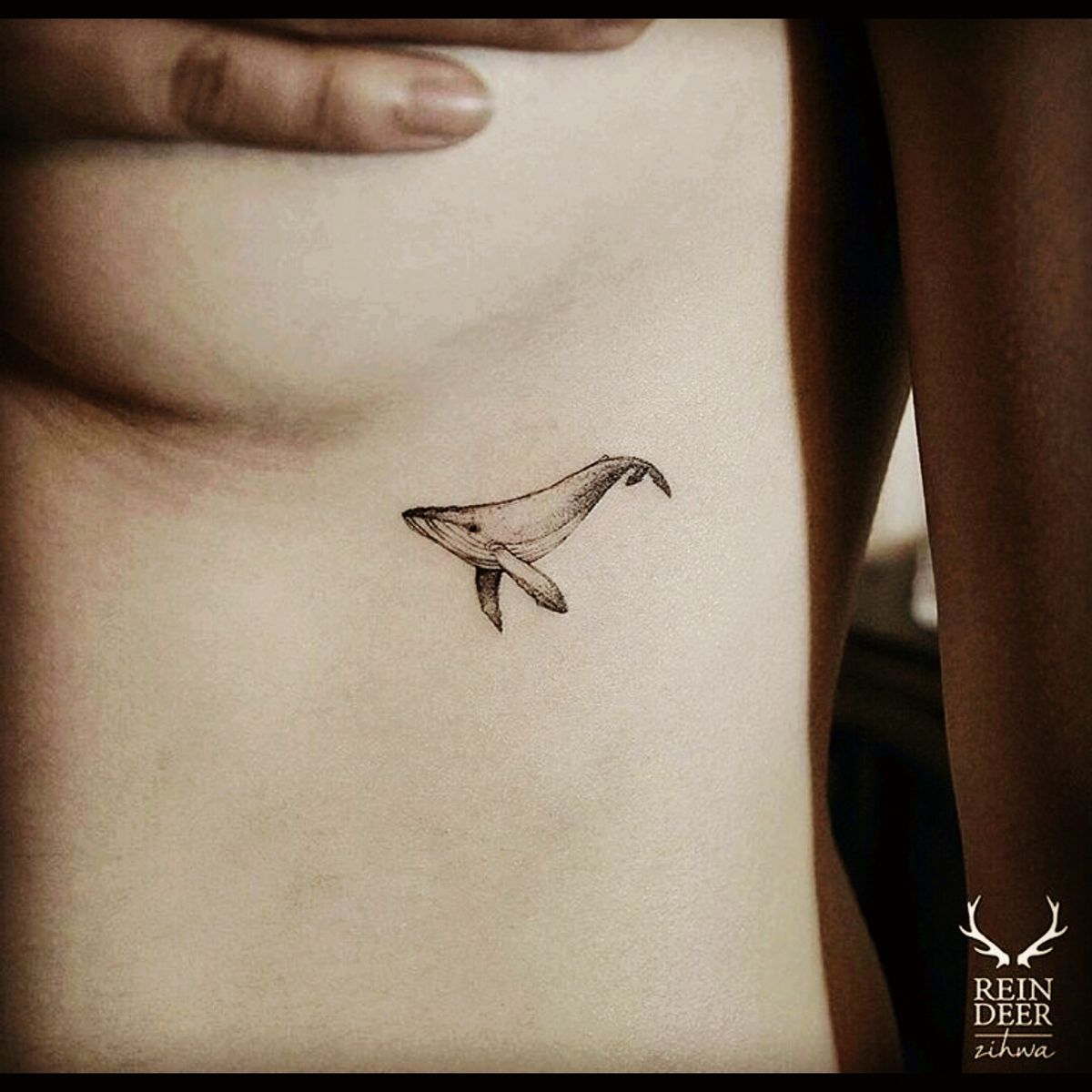 Tattoo uploaded by Sophie • #whale • Tattoodo