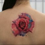 Awesome realistic watercolour red rose tattoo #dreamtattoo #mydreamtattoo