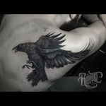 Awesome detailed black & grey crow/raven/bird in flight tattoo#dreamtattoo #mydreamtattoo