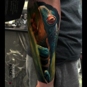Totally wicked hyper realistic, full colour tropical frog tattoo#dreamtattoo #mydreamtattoo
