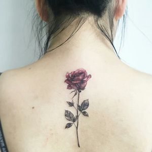 Very pretty colour rose & thorns stem tattoo#dreamtattoo #mydreamtattoo